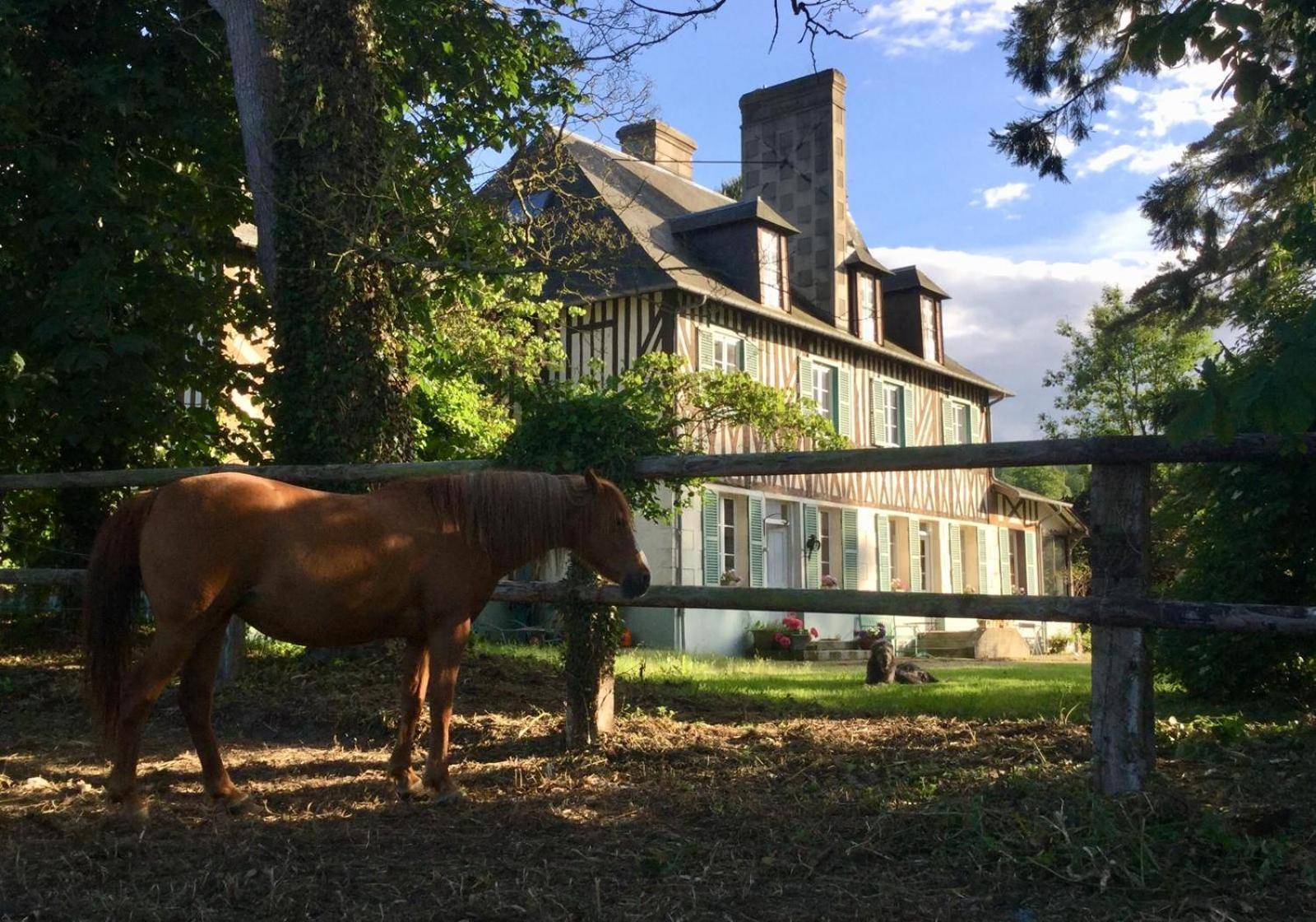 Le Domaine Lieu Bill, Normandie Blonville-sur-Mer Eksteriør bilde