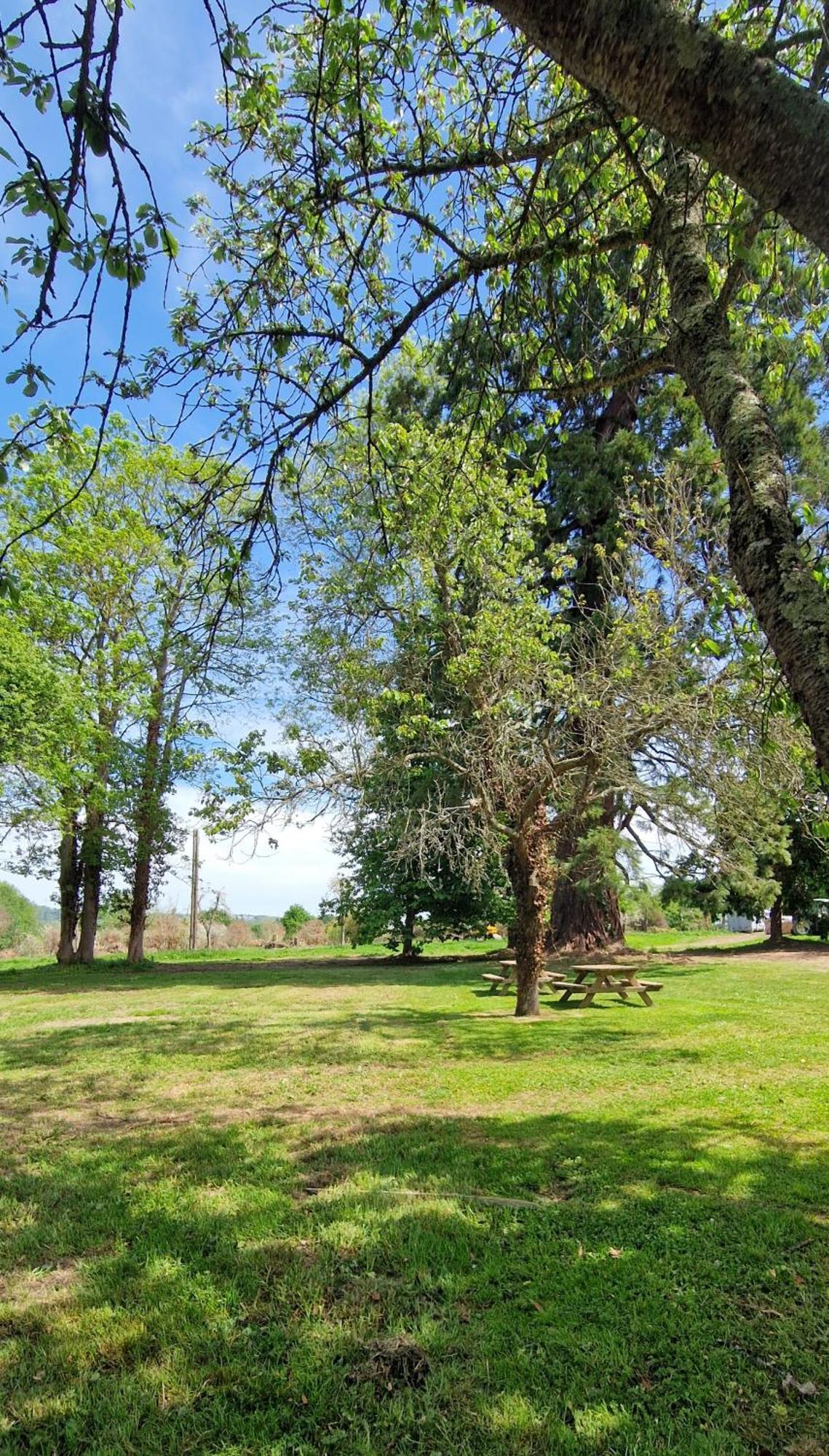 Le Domaine Lieu Bill, Normandie Blonville-sur-Mer Eksteriør bilde